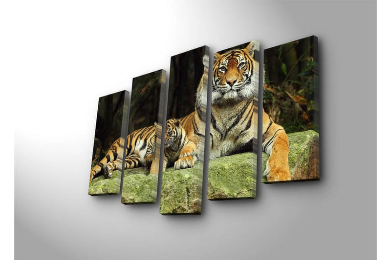 Stort lærredstryk i 5 dele 105x70 cm - Stolt tiger med unge hvilende på en sten - Orange / Sort / Beige - Boligtilbehør - Billeder & kunst - Billeder på lærred