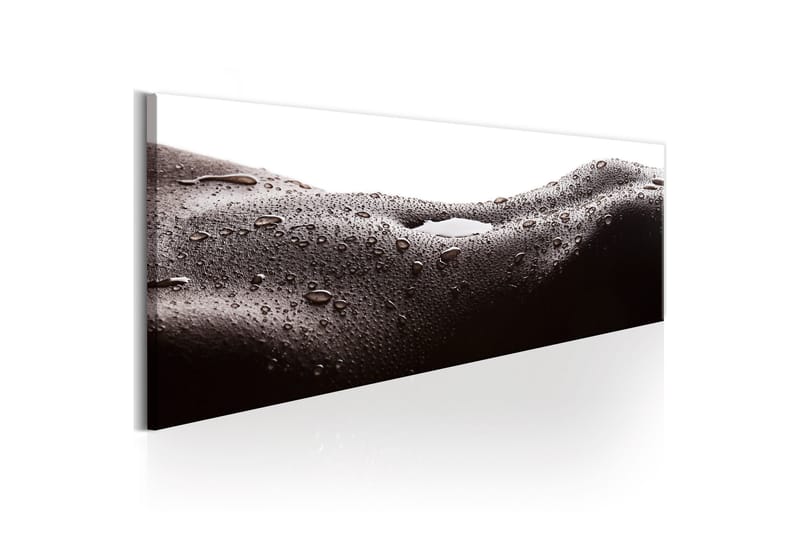 Tavla Erotic Landscape 120x40 - Boligtilbehør - Billeder & kunst - Billeder på lærred