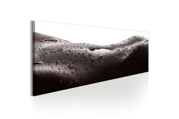 Tavla Erotic Landscape 135x45 - Boligtilbehør - Billeder & kunst - Billeder på lærred