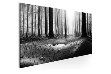 Tavla Forest after Rain (1 Part) Narrow 120x40 - Boligtilbehør - Billeder & kunst - Billeder på lærred