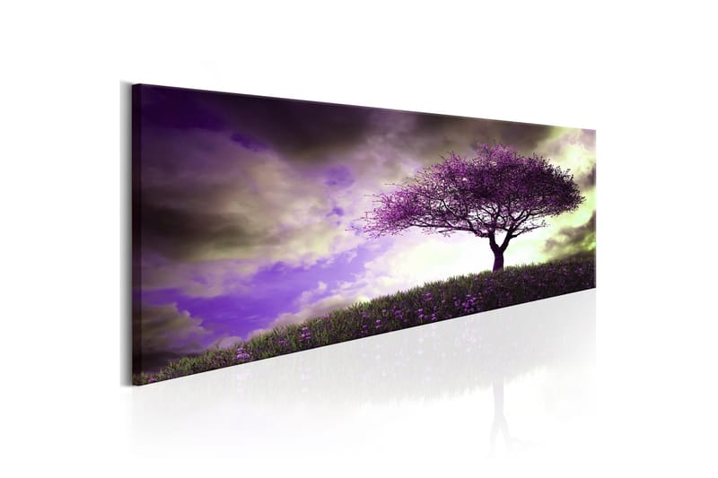 Tavla Heather Hill VALUE_MISSING_3 120x40, undefined