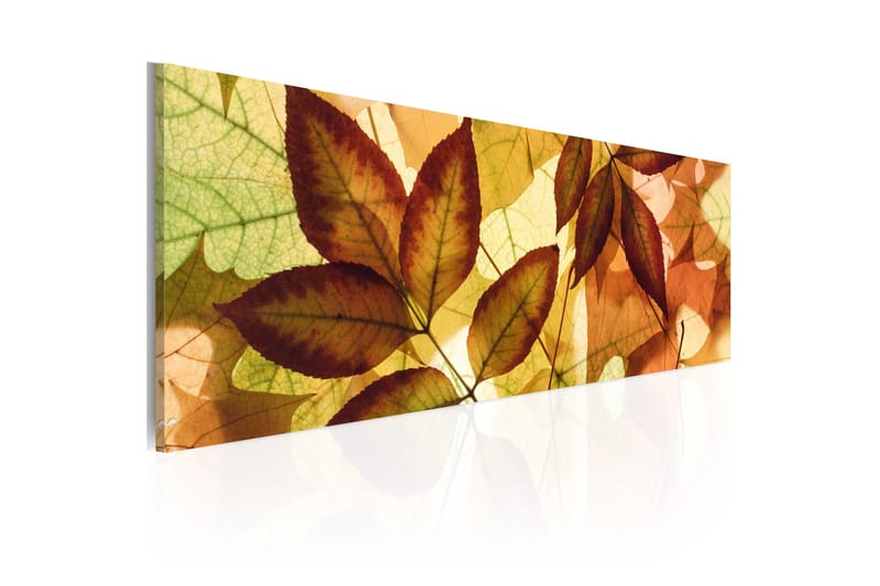 Tavla Kollage Löv 135x45 cm - Boligtilbehør - Billeder & kunst - Billeder på lærred