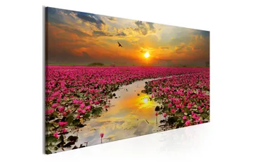 Tavla Lily Field (1 Part) Narrow VALUE_MISSING_2 135x45 - Boligtilbehør - Billeder & kunst - Billeder på lærred