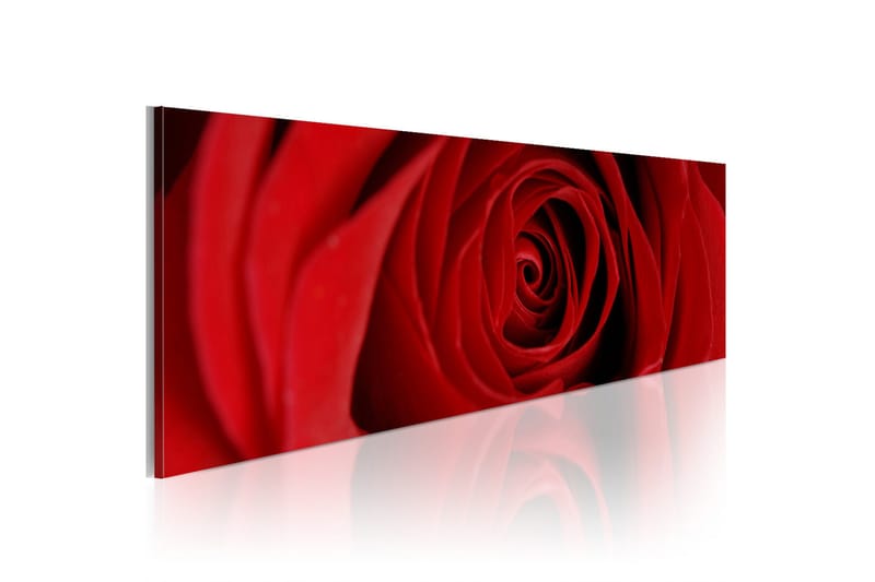Tavla Midnight Rose 135x45 cm, undefined