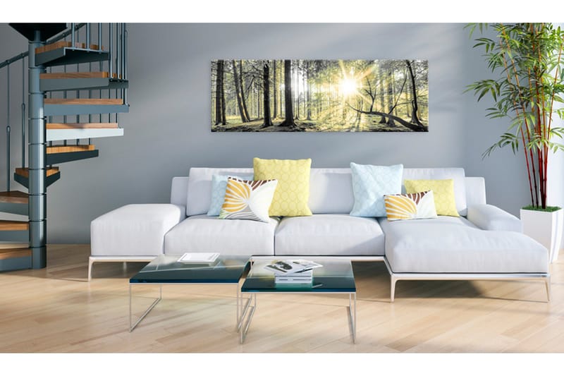 Tavla Morning Forest VALUE_MISSING_2 120x40 - Boligtilbehør - Billeder & kunst - Billeder på lærred