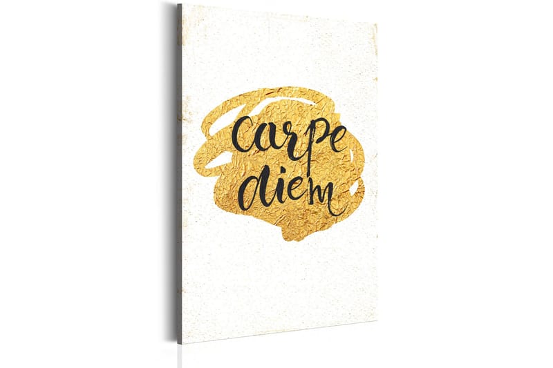 Tavla My Home: Carpe Diem 80x120 VALUE_MISSING_1, undefined