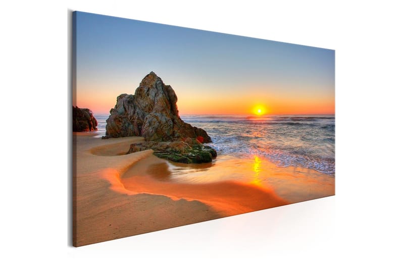 Tavla New Day (1 Part) Narrow VALUE_MISSING_2 120x40 - Boligtilbehør - Billeder & kunst - Billeder på lærred