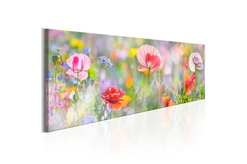 Tavla Rainbow of Morning Poppies 120x40 - Boligtilbehør - Billeder & kunst - Billeder på lærred