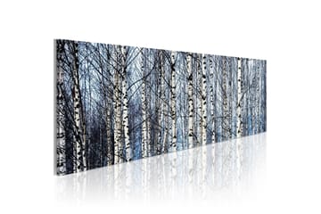 Tavla Vita Björkar 135x45 cm