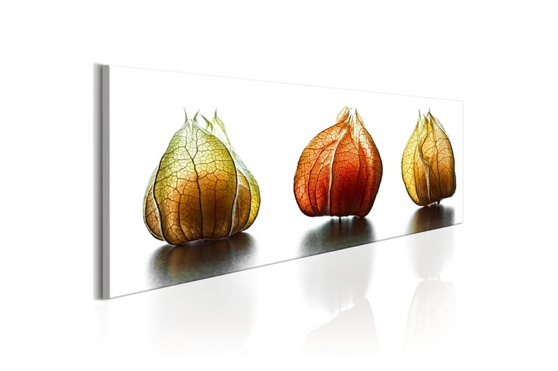 Tavla Winter Cherry 135x45 - Boligtilbehør - Billeder & kunst - Billeder på lærred