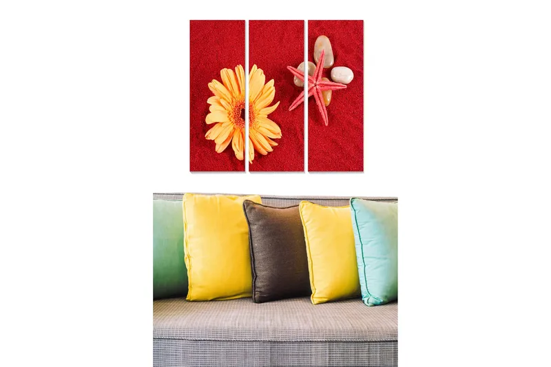 Trælærred 3-delt 50x70 cm - Farverig komposition med en blomst og skaller på en rød baggrund, Rød / Gul / Beige