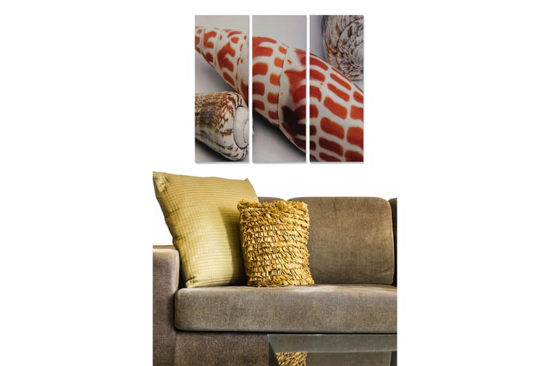 Trælærred 3-delt 50x70 cm - Farverige muslingeskaller i en detaljeret komposition, Rød / Beige / Brun