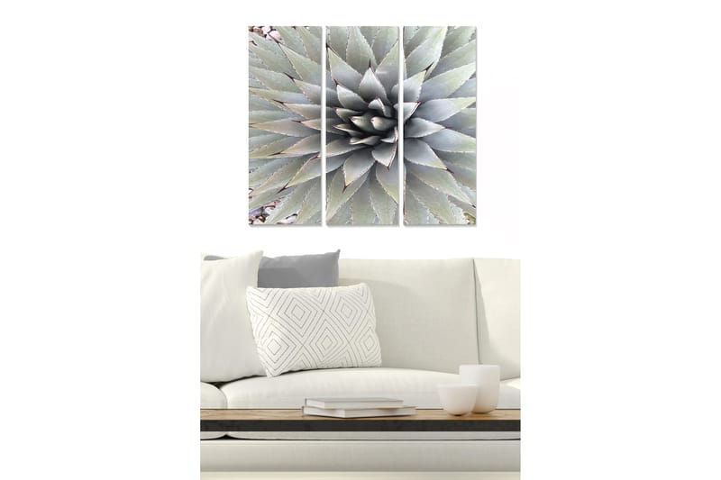 Trælærred 3-delt 50x70 cm - Symmetrisk komposition af agaveblade, Grøn / Grå / Beige