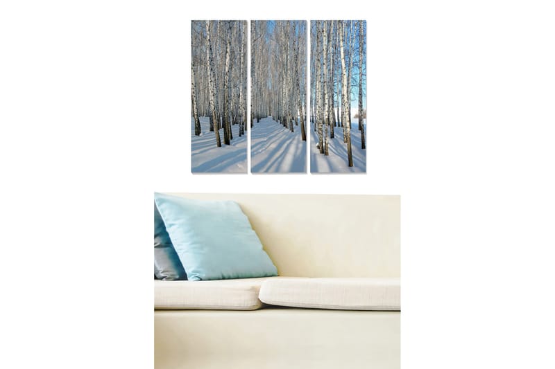 Trælærred 3-delt 50x70 cm - Vinterlandskab med birketræer i sne, Hvid / Blå