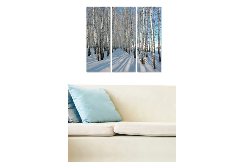 Trælærred 3-delt 50x70 cm - Vinterlandskab med birketræer i snedækket miljø, Hvid / Blå / Sort