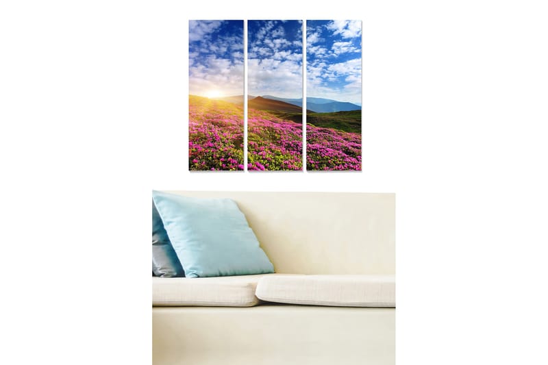 Trælærredstryk 3-delt 50x70 cm - Blomstrende eng med farverige blomster og en solopgang i baggrunden, Lyserød / Grøn / Blå