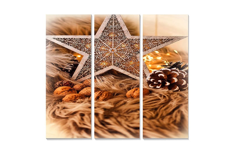 Trælærredstryk 3-delt 50x70 cm - Dekorativ stjerne med julestemning omgivet af nødder og grangrene, Beige / Brun / Guld