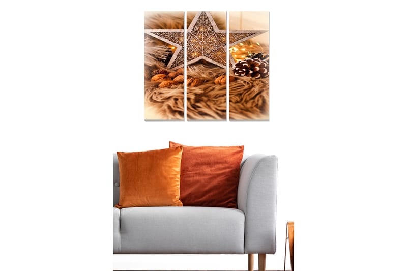 Trælærredstryk 3-delt 50x70 cm - Dekorativ stjerne med julestemning omgivet af nødder og grangrene - Beige / Brun / Guld - Boligtilbehør - Billeder & kunst - Billeder på lærred