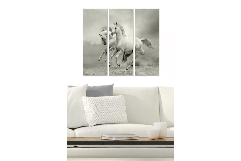 Trælærredstryk 3-delt 50x70 cm - Dynamiske heste i bevægelse, Hvid / Grå