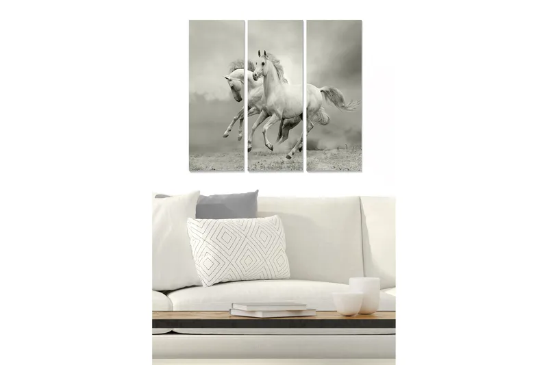 Trælærredstryk 3-delt 50x70 cm - Dynamiske heste i bevægelse, Hvid / Grå