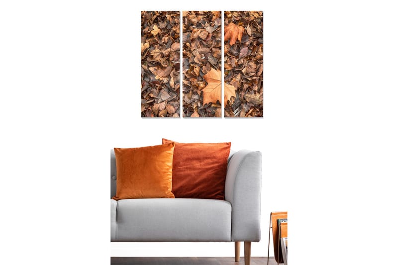 Trælærredstryk 3-delt 50x70 cm - Efterårsblade i forskellige nuancer af brunt og orange - Brun / Orange / Beige - Boligtilbehør - Billeder & kunst - Billeder på lærred