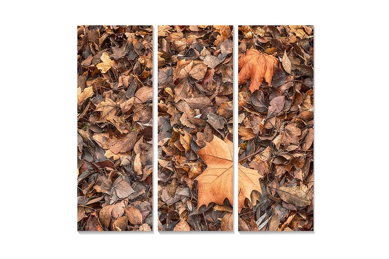 Trælærredstryk 3-delt 50x70 cm - Efterårsblade i forskellige nuancer af brunt og orange, Brun / Orange / Beige