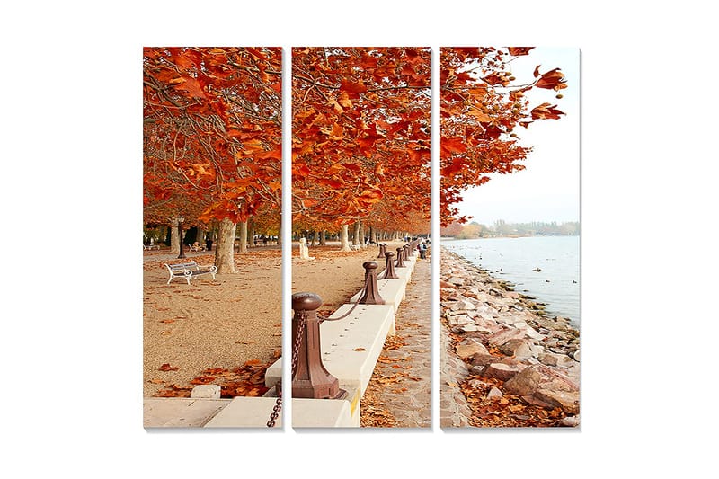 Trælærredstryk 3-delt 50x70 cm - Efterårslandskab med gyldne løvfældende træer langs en promenade ved vandet, Orange / Brun / Beige