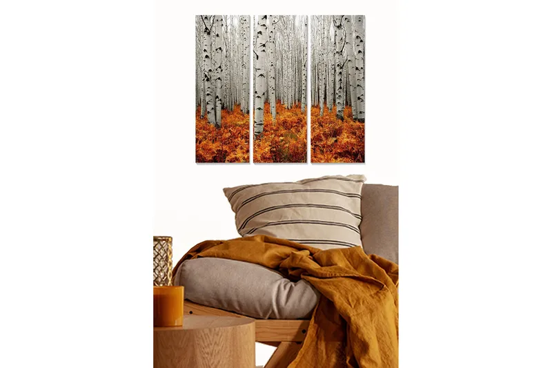 Trælærredstryk 3-delt 50x70 cm - Efterårsskov med hvide birketræer og orange bregner, Hvid / Orange