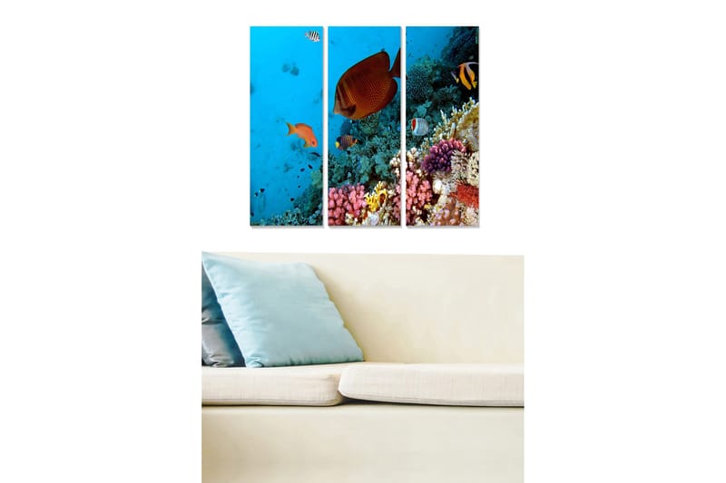 Trælærredstryk 3-delt 50x70 cm - Farverig undervandsscene med koralrev og svømmende fisk, Blå / Orange / Lyserød