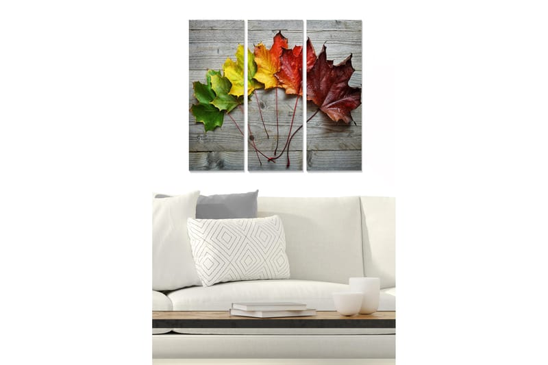 Trælærredstryk 3-delt 50x70 cm - Farverige efterårsblade på en træoverflade, Grøn / Gul / Rød