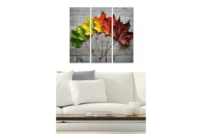 Trælærredstryk 3-delt 50x70 cm - Farverige efterårsblade på en træoverflade, Grøn / Gul / Rød