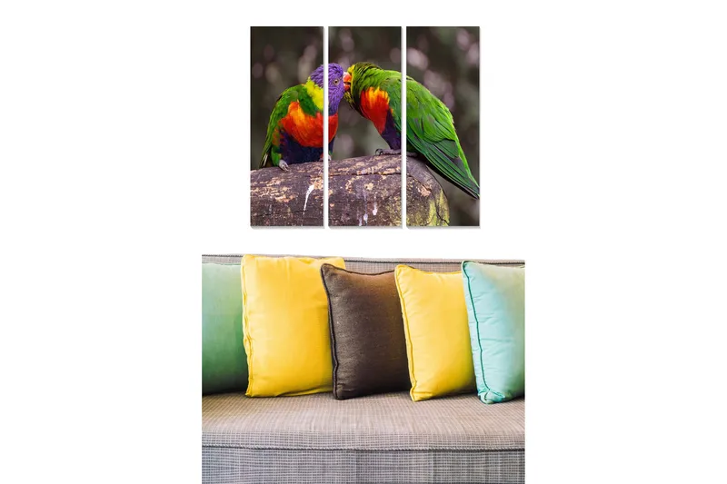 Trælærredstryk 3-delt 50x70 cm - Farverige papegøjer interagerer på en gren, Grøn / Rød / Lilla