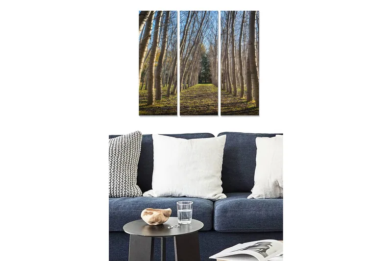 Trælærredstryk 3-delt 50x70 cm - Frodig allé med høje træer, der strækker sig mod en lys himmel, Grøn / Brun / Blå