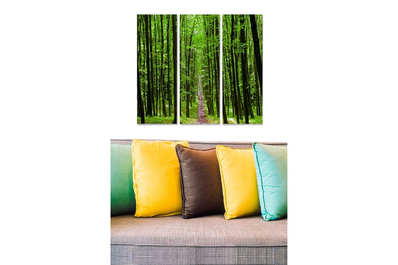 Trælærredstryk 3-delt 50x70 cm - Frodig skov med høje træer og en sti, der fører ned i dybet, Grøn / Lysegrøn