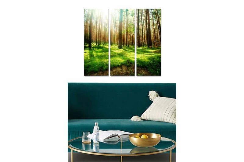 Trælærredstryk 3-delt 50x70 cm - Frodig skov med høje træer og solstråler, der filtrerer gennem grenene, Grøn / Brun / Gul