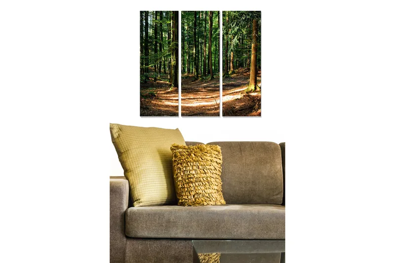 Trælærredstryk 3-delt 50x70 cm - Frodig skov med solbeskinnede stier, Grøn / Brun / Gul
