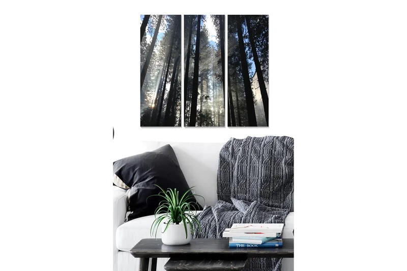 Trælærredstryk 3-delt 50x70 cm - Høje træer strækker sig mod en tåget himmel, Mørkegrøn / Sort / Lyseblå