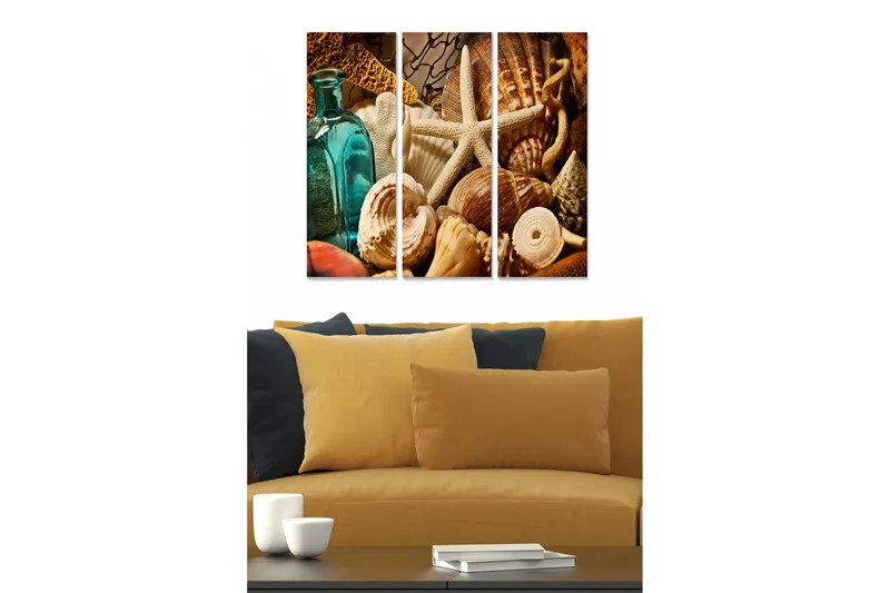Trælærredstryk 3-delt 50x70 cm - Havinspireret kollektion af skaller og strandgenstande, Turkis / Beige / Brun