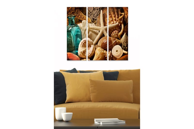 Trælærredstryk 3-delt 50x70 cm - Havinspireret kollektion af skaller og strandgenstande, Turkis / Beige / Brun
