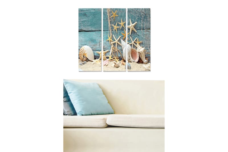 Trælærredstryk 3-delt 50x70 cm - Havmotiv med skaller og søstjerner på sandbund, Turkis / Beige / Hvid