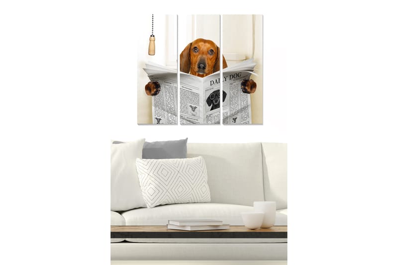Trælærredstryk 3-delt 50x70 cm - Hund læser avis med nysgerrighed - Brun / Sort / Hvid - Boligtilbehør - Billeder & kunst - Billeder på lærred
