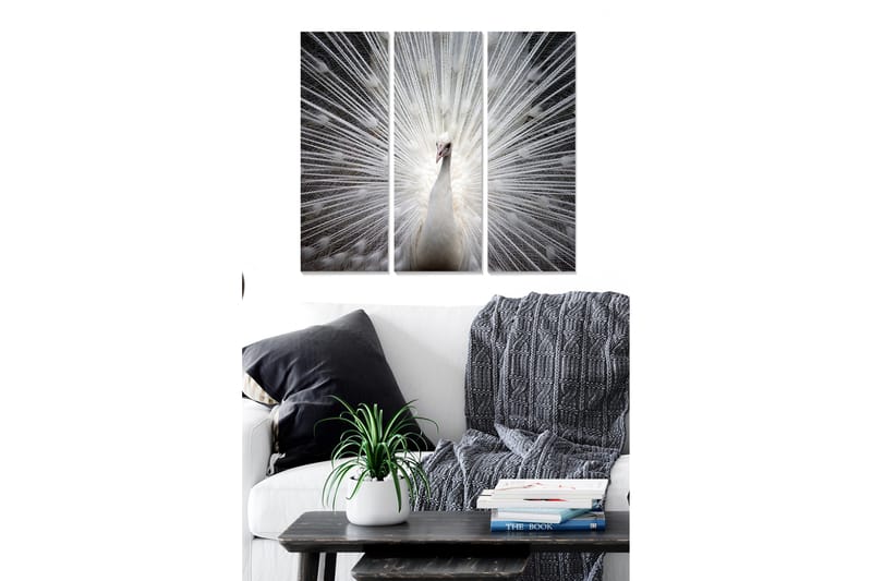 Trælærredstryk 3-delt 50x70 cm - Hvid påfugl med lysstråler bagved, Hvid / Grå / Sort
