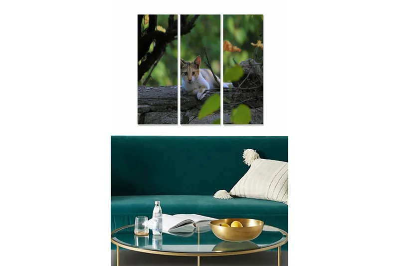 Trælærredstryk 3-delt 50x70 cm - Kat liggende på en sten omgivet af grønt, Grøn / Brun / Hvid