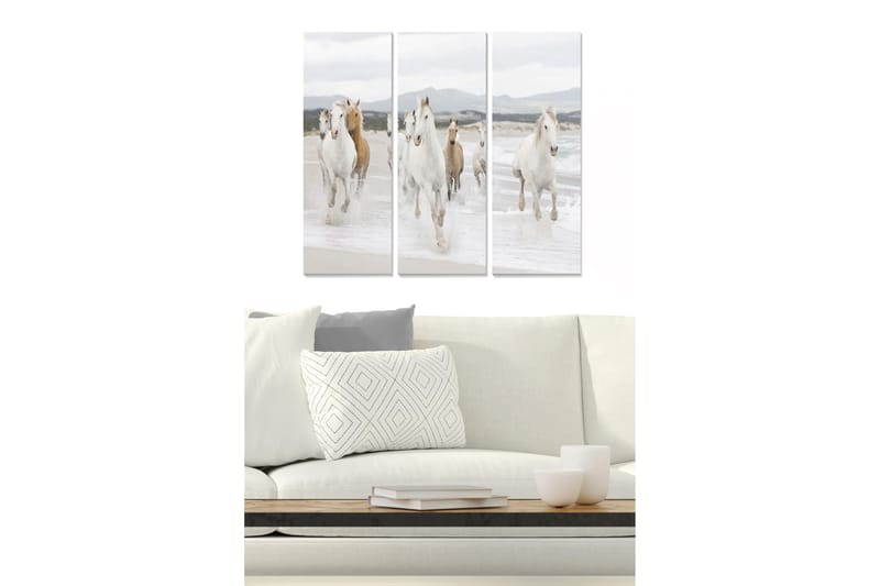 Trælærredstryk 3-delt 50x70 cm - Løbende heste ved havet, Hvid / Beige / Lysegrå
