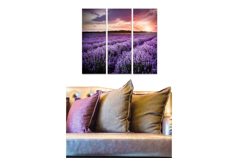 Trælærredstryk 3-delt 50x70 cm - Lavendelmarker under en farverig solnedgang, Lilla / Lyserød / Grøn