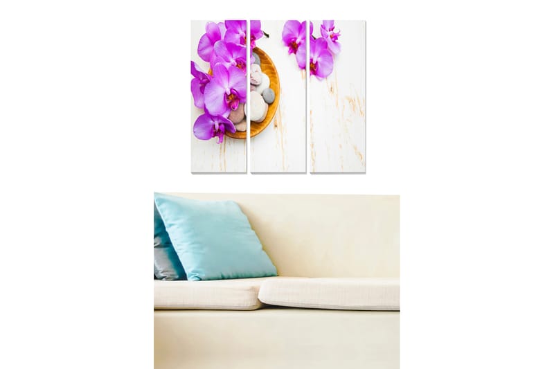 Trælærredstryk 3-delt 50x70 cm - Lilla orkideer i en skål med sten, Lilla / Beige / Hvid