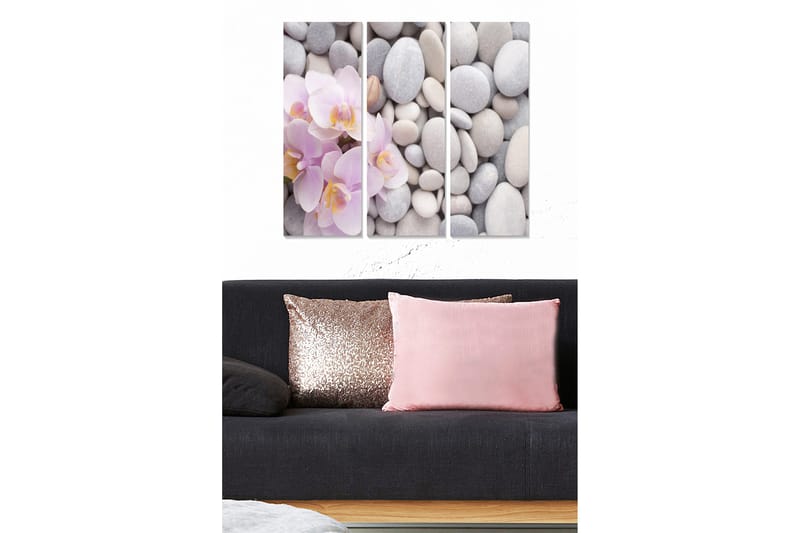 Trælærredstryk 3-delt 50x70 cm - Lyserøde orkideer blandt grå sten, Lys pink / Grå / Hvid