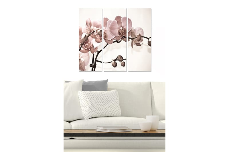 Trælærredstryk 3-delt 50x70 cm - Lyserøde orkideer på en stilfuld baggrund - Lys pink / Beige / Brun - Boligtilbehør - Billeder & kunst - Billeder på lærred