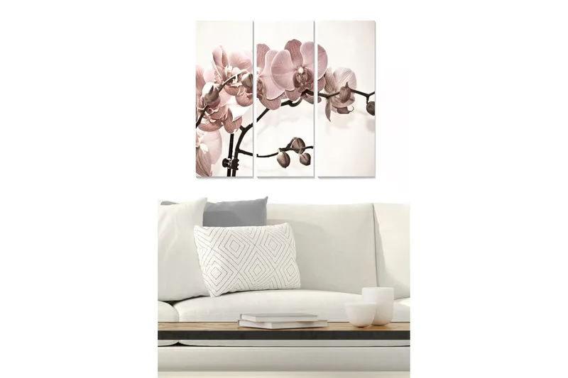 Trælærredstryk 3-delt 50x70 cm - Lyserøde orkideer på en stilfuld baggrund, Lys pink / Beige / Brun
