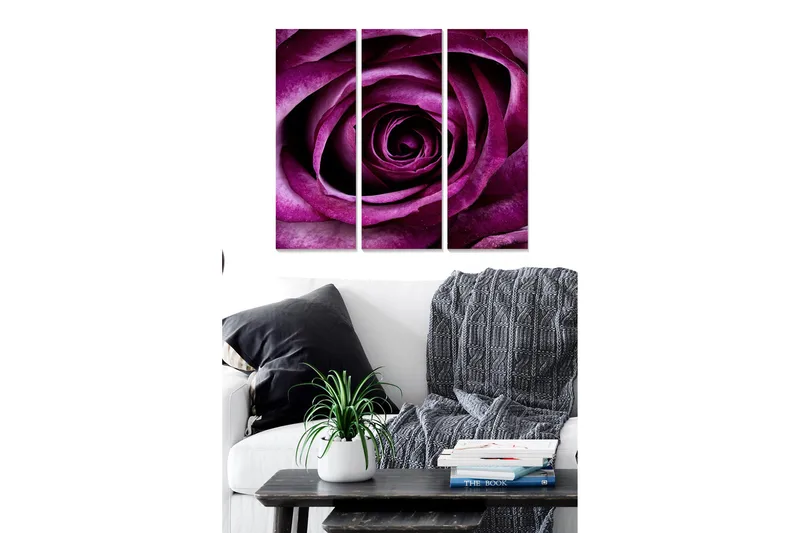 Trælærredstryk 3-delt 50x70 cm - Mørk lilla rose nærbillede, Lilla / Mørkelilla